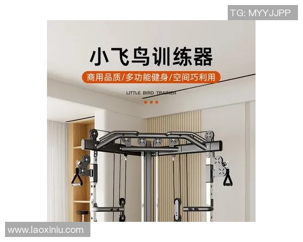 龙门架力量站模块化组合训练全场景应用